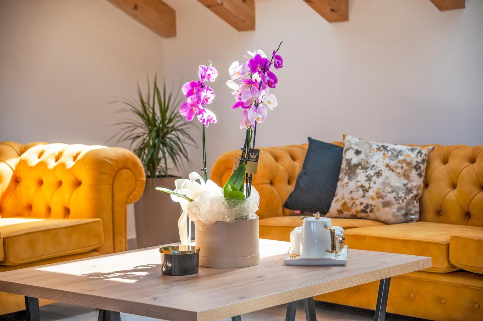 Boutique Residence Arion โรวีน ห้อง รูปภาพ